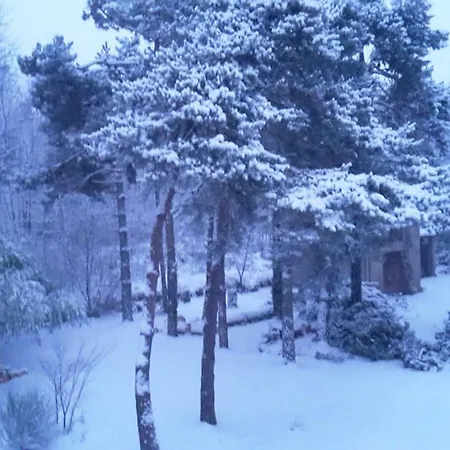 Les Sapins Montgaillard (Ariege)