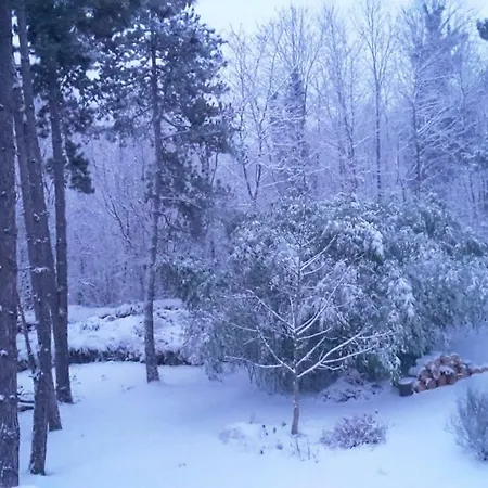 Les Sapins Bed & Breakfast