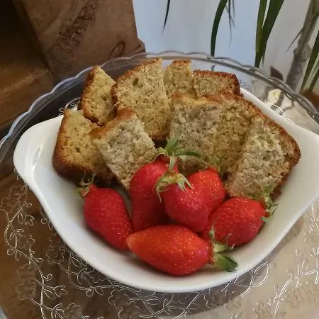 Bed & Breakfast Les Sapins Montgaillard (Ariege)